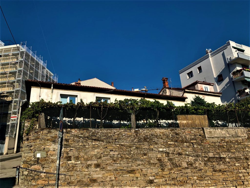 Vicolo San Fortunato A Lucky Survivor Of Trieste's Past InTrieste