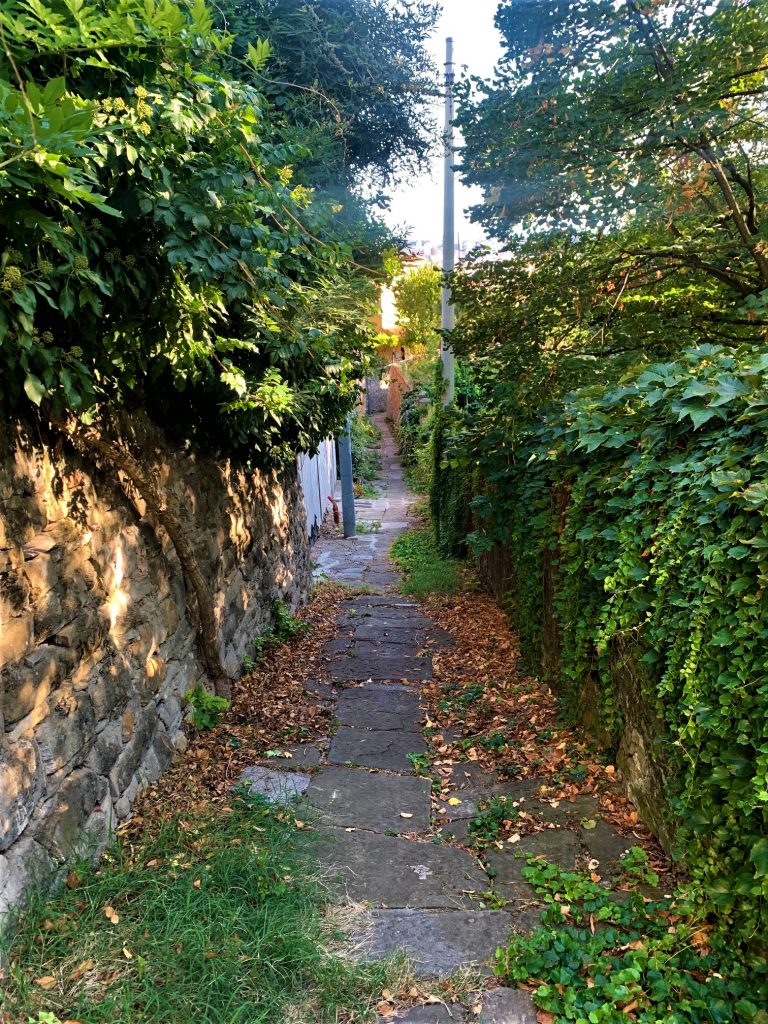 Vicolo San Fortunato A Lucky Survivor Of Trieste's Past InTrieste